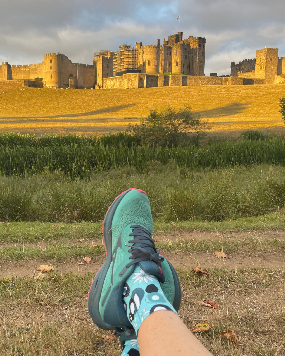 Shoe Review: The Mizuno Rider TT